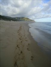 The path...: by bonfleming, Views[387]