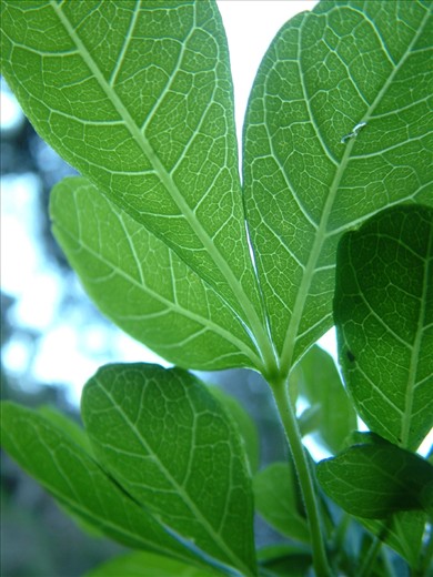 ...pulsating with life