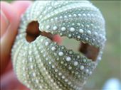 ...crafted by eons: by bonfleming, Views[387]