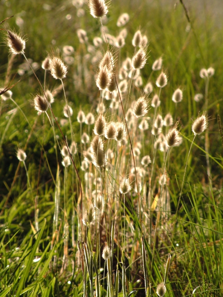 ...heightened by light