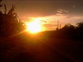 by bonjove, Views[156]