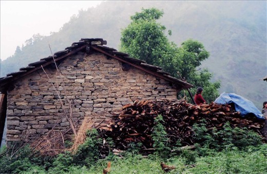 Uh Oh - more wood, a necessary essential for surviving life in a punishing Himalayan climate
