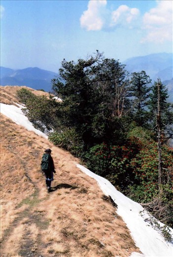 On the ridge at Bajeeling Dhar, heading towards Khati on our return from Pongo Tops