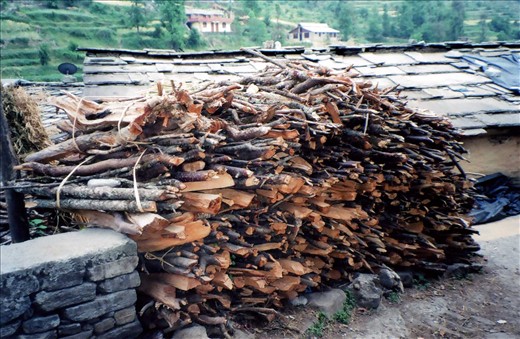 Here is an example of just one of the woodpiles of a Khati householder...