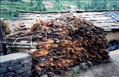 Here is an example of just one of the woodpiles of a Khati householder...: by bonnie, Views[556]