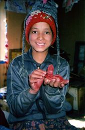 the introduction of something as simple as 'plasticine' was a source of much artistic joy....: by bonnie, Views[583]