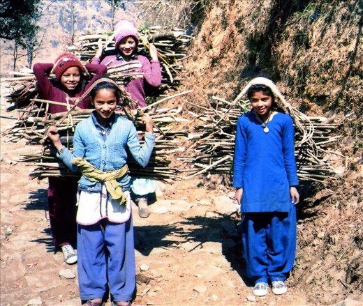 Some grade six girls(Chandani, Jyoti, Karishima & Kiran) out wood collecting before class. Unfortunately green wood cutting is now endemic due to the distances walked to collect wood for heating/cooking.