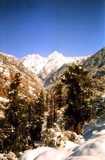 This view is a five minute walk from the peAk building  and looks toward  Pindari valley.