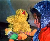 Sesame Street toys like Big Bird, Oscar & Bert have been in Khati for some time now. Here is Nirmala (totally enthralled) watching her first episode of Sesame Street ......: by bonnie, Views[695]