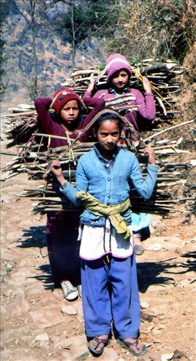 Another shot of the girls collecting green wood. Winter 2013/14