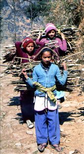Another shot of the girls collecting green wood. Winter 2013/14: by bonnie, Views[422]