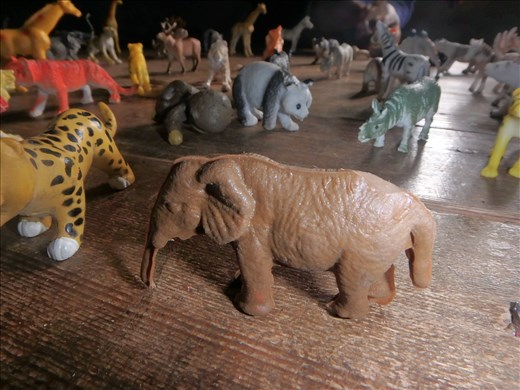 We use various means to engage the children into the world of words.These 'wild animals' are a HUGE favourite, the kids can now name the animals in English, Pahari & Hindi, spell them, tell you what country they may be from and their dietary habits!!