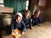 The  happy trio have just arrived...: by bonnie, Views[603]