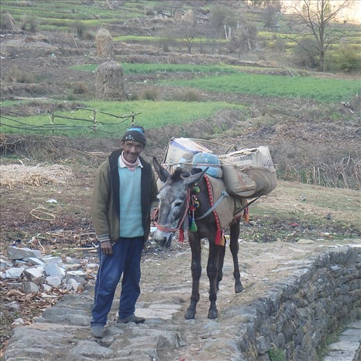 Hookum holding one of the mules that delivered educational materials to Jatoli.
