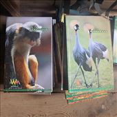 A sample of the 'green' exercise books chosen for this project.: by bonnie, Views[230]