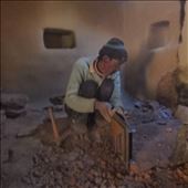 Hookum assessing the job at hand....: by bonnie, Views[320]