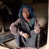 Mortimer (Jatoli): by bonnie, Views[338]