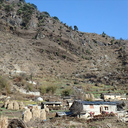 Jatoli is a small village (population approx 123 people) situated at an altitude of 2400m in the Kumaon Himalaya. The last village if one is trekking to Sunderdhunga. Also the site of peAk's fuel efficient stove project (chulhas). This is a snapshot of a section of the village.