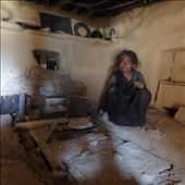 Mortimer taking a break from helping out with her new chulha.: by bonnie, Views[321]