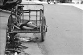 A girl resting in the shadow. As the camera got closer she openned her eyes and looked at it directly, once she felt fear she ran into her house. In Tecun Uman most girls are chosen by walking in the street and are sold or forced to work in prostitution.: by border, Views[703]