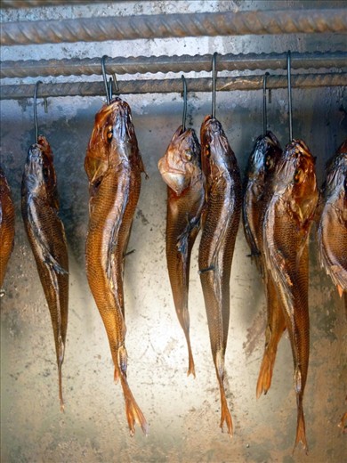 It's said, among Lithuanians, that if you travel to Nida then you are expected by your friends and family to bring back smoked fish. In the small town the fish is caught, smoked and available for purchase; it only takes a day for the fish swimming in the sea to become a fish smoked and on your plate.

*The image is of fish being smoked in a backyard smoker for private consumption.