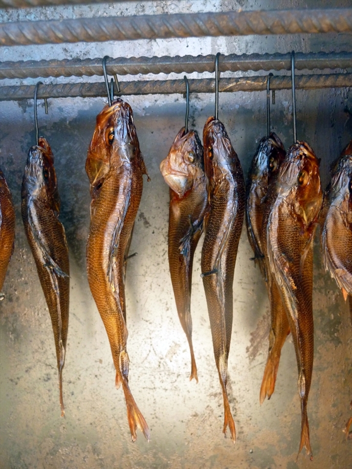 It's said, among Lithuanians, that if you travel to Nida then you are expected by your friends and family to bring back smoked fish. In the small town the fish is caught, smoked and available for purchase; it only takes a day for the fish swimming in the sea to become a fish smoked and on your plate.

*The image is of fish being smoked in a backyard smoker for private consumption.