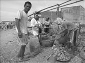 In a small fishing village in the Philippines, a dried fish vendor  started to prep for his day when customers are already asking for details about the goods he is selling. It is going to be a fast day for him.: by borg, Views[924]