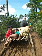 In a remote province of Masbate, Philippines, I went into an isolated village where the 