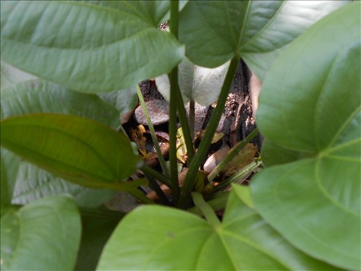 STANDING AROUND A MESS