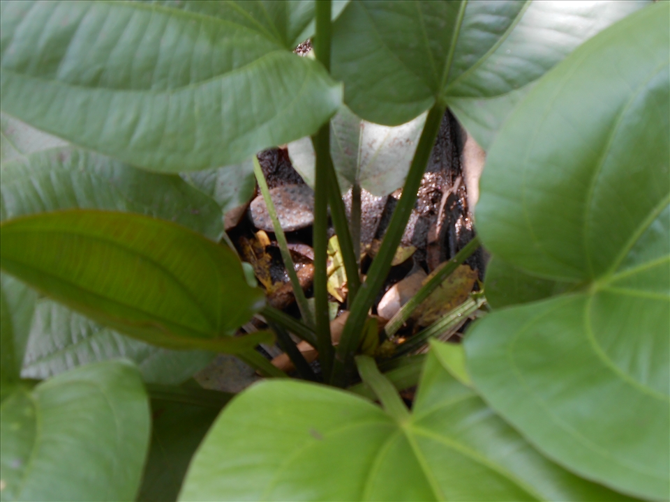 STANDING AROUND A MESS