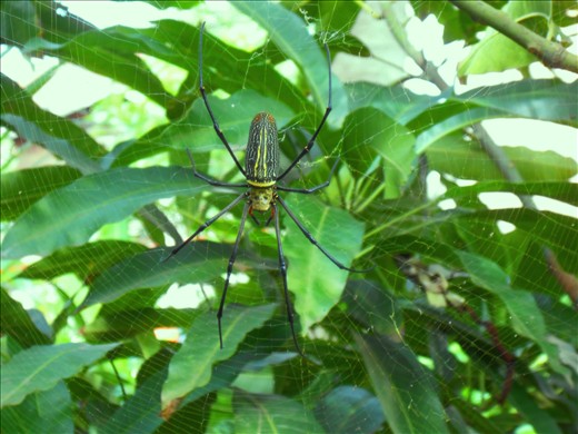 HAVE A REST IN EVERGREEN