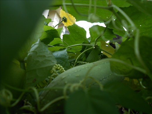 GOOD THING WAITING AT THE END