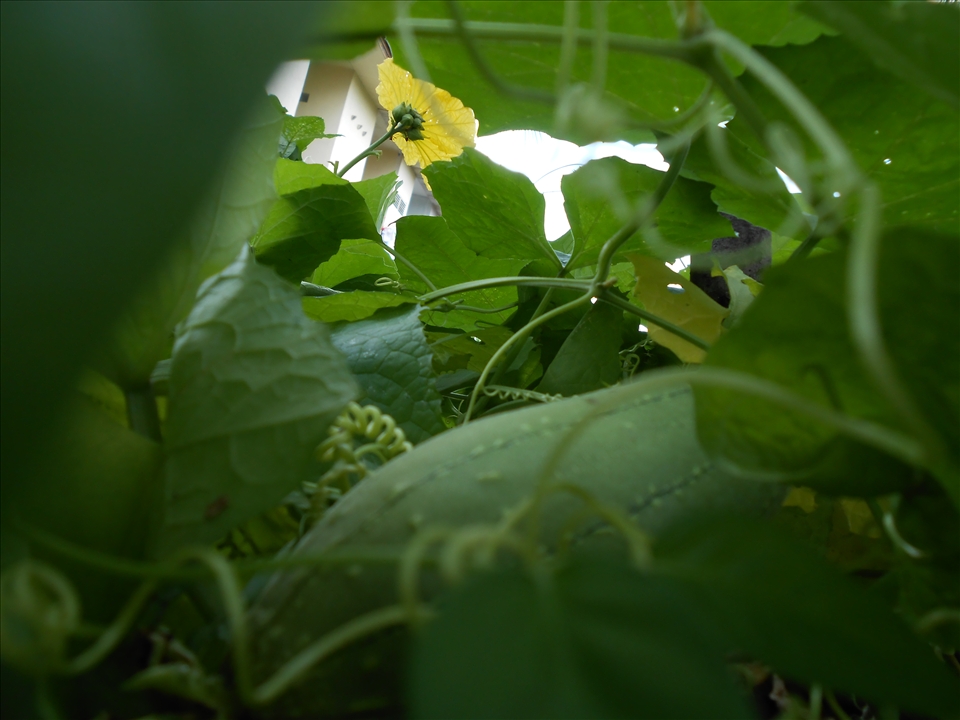 GOOD THING WAITING AT THE END