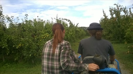 Nos bon amis Slovènes Anja et Ziga...on a passé 6 semaines ensemble a ramasser les poires et le début de la saison des pommes...