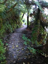 by boutdumonde, Views[144]