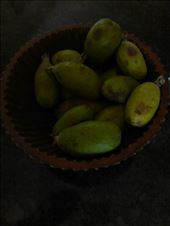 Feijoa, en vente sur tout les bord de route pendant la saison.: by boutdumonde, Views[188]