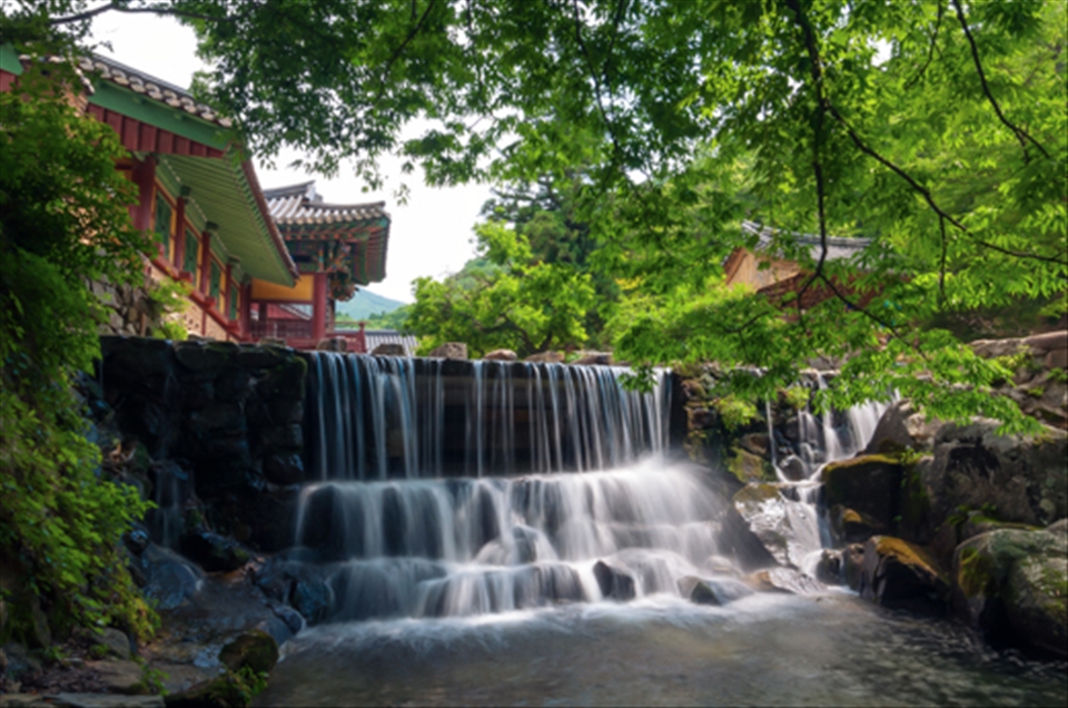 Beautiful summer afternoon at the temple