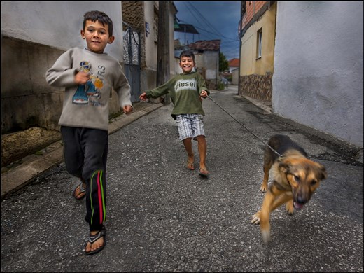 Brothers are running their dog in the street