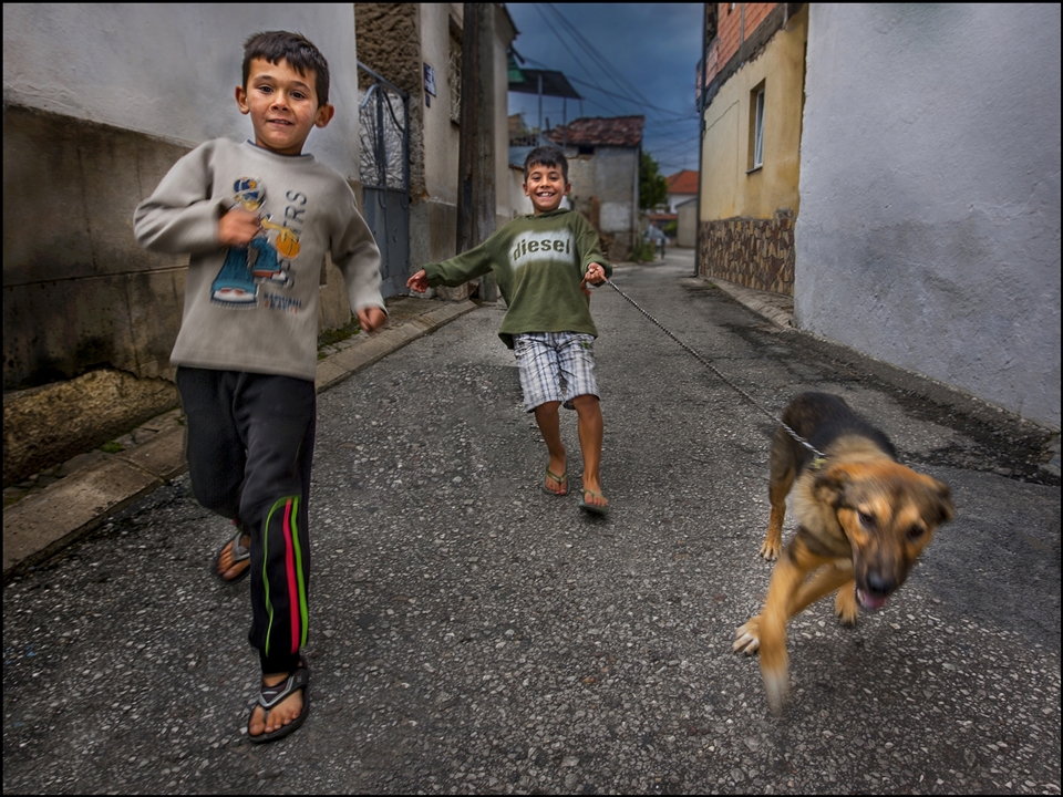 Brothers are running their dog in the street