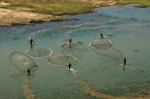 Local tribal engage in collective fishing by their indegeniously prepared nets.