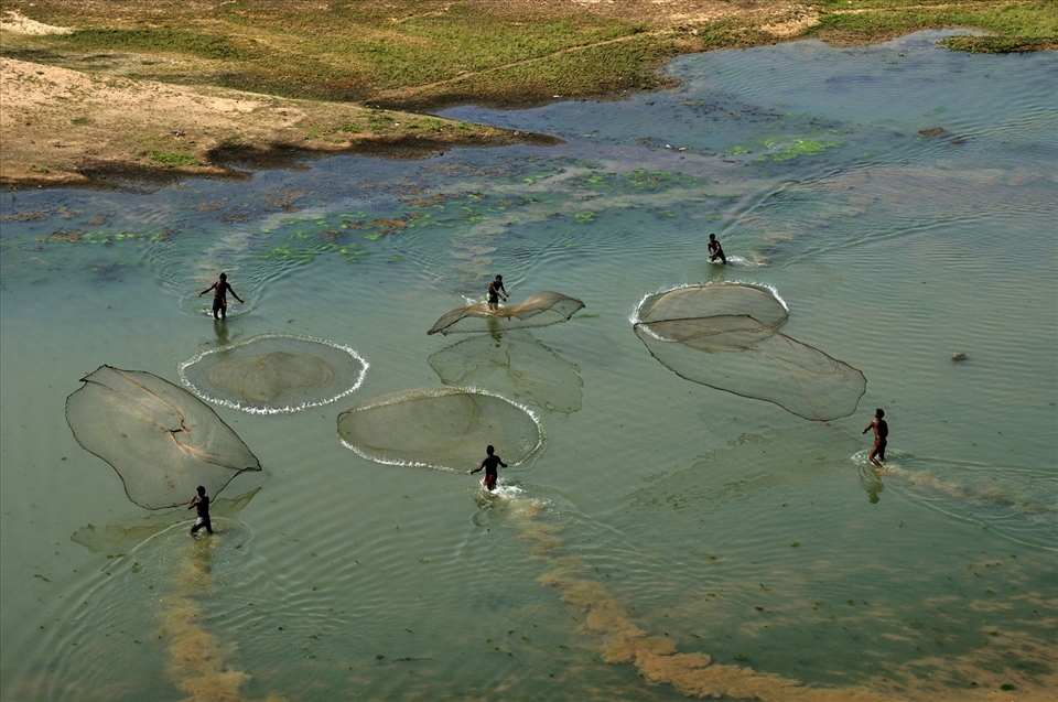 Local tribal engage in collective fishing by their indegeniously prepared nets