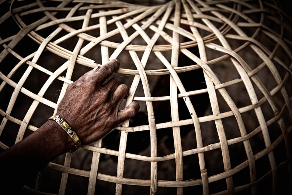 Choosing the cocks before the fight. Don Det, Laos.