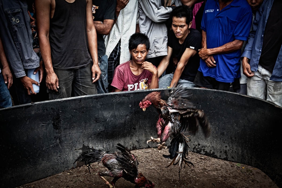 Spectators watching and betting on cock fight. Don Det, Laos.