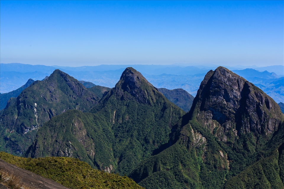 Madagascar is a biodiversity hotspot, containing a huge number of endemic species of plants and animals. Unfortunately, Madagascar is also one of the poorest countries in the world, which has meant that up to 90% of the original forest has been cleared for cattle grazing and wood fire cooking.  

Pockets of virgin forest do still exist, such as those found in Parc National Marojejy but they are usually isolated and hard to access.  The high peaks and deep valleys of Marojejy (seen in the photograph) have meant that human encroachment has been kept at bay and existing protection measures hold back most of the deforestation.  

What makes Parc National de Marojejy so special is that it is one of only a handful of locations that the critically endangered Silky Sifaka still exists.  Unable to be bred in captivity, the world population of these primates is only a few hundred and they have been on the world's 25 Most Endangered Primates list since its inception in 2000 (Lemurs of Madagascar 3rd Edition, 2010). 

I visited Marojejy in 2014 with the aim of seeing and hopefully photographing this most rare of primate species. Access is limited, requiring at least a 3 day trek through the thick jungle and mud that makes up the Silky Sifakas home.