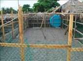 Turtle hatchery at Toluca Beach: by bradnahill, Views[83]