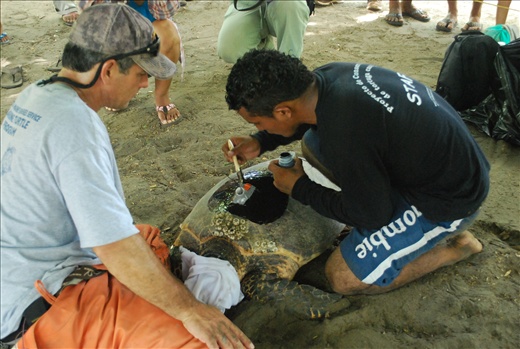 Applying anti-fouling paint to a satellite transmitter