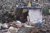 It was very ironic when watching an old man lives in that cramped filthy hut just made from shabby fabric and old tarpaulin with 4 bamboo sticks as the pillar on it. He sleeps and does his routine activity in that tiny hut daily surrounded by rubbish everywhere with the hazardous air which is able to harm his health condition anytime. Gathering the trash to gain money for his own living and staying in that hut without family member accompanying him is not light burden, but he does not have any other options. : by brahmz, Views[719]