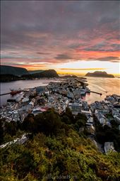 by brandonborn, Views[317]