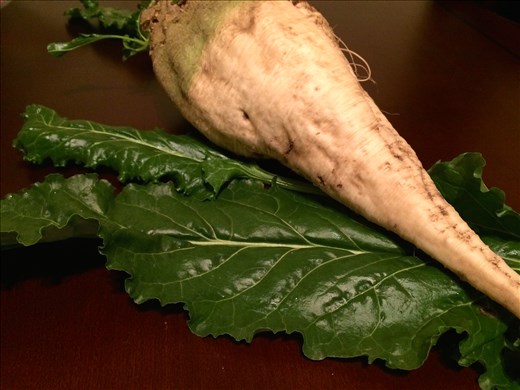 One of the sugar beets