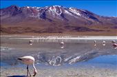 Bolivia: by brayans, Views[251]